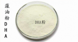 藻油DHA粉